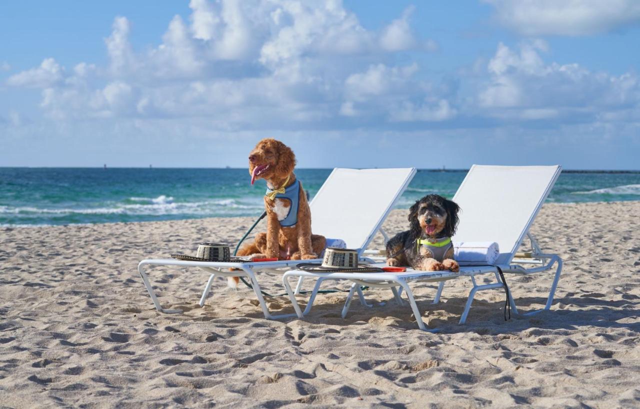 The Balfour Hotel Miami Beach Bagian luar foto